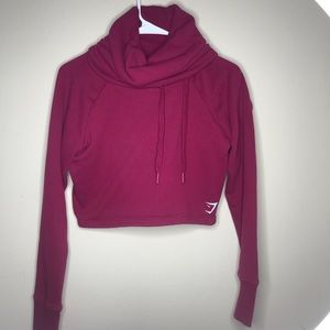 Cropped Turtleneck Sweatshirt